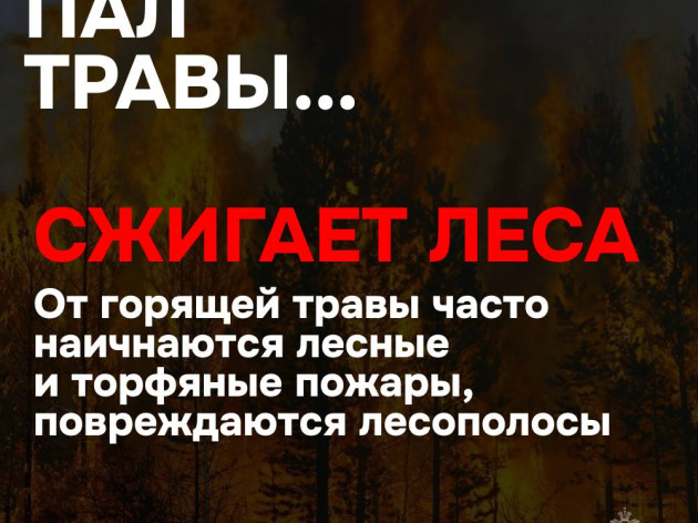 Пал травы